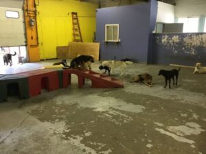 Daycarequincy 640x480