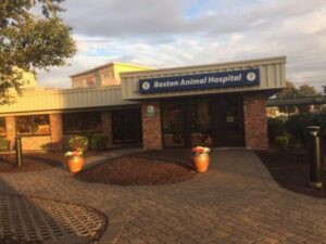 Bostonanimalhostiple