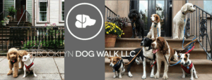 Brooklyndogwalking