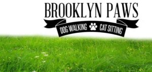 Brooklynpaws