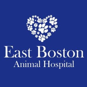 Eastbotonanimalhospital