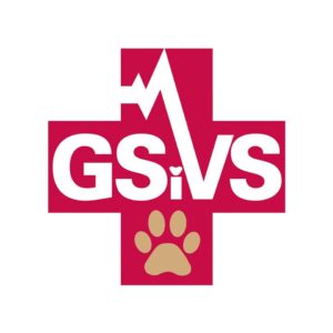 Gsvis