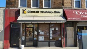 Glendale veterinary clinic