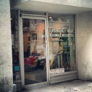 Gramercyparkanimalhostiple