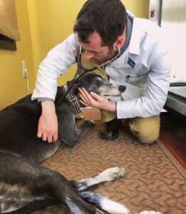 Huronveterinaryhospital