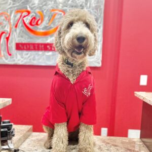 Red dog pet resort & spa north station