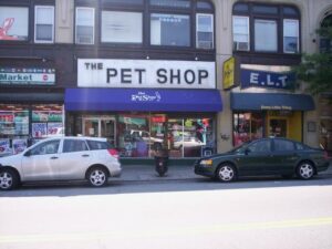 Thepetstore