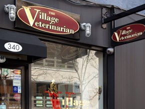 Villagevet
