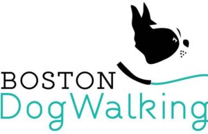 Bostondogwalking