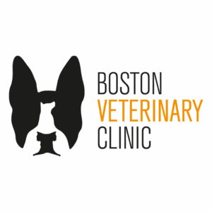 Bostonveterinaryclinic