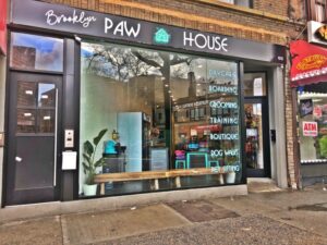 Brooklypawhouse