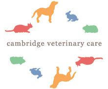 Cambridgecare