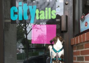 Citytails 1