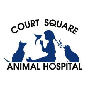 Courtsquareanimalhospital