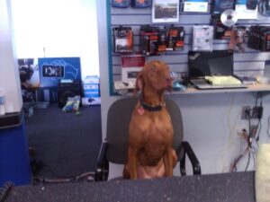 Furryfriendspetsitters