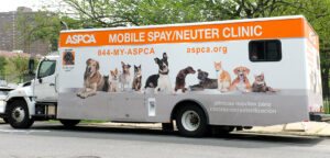 Nyc adoption center mobile sn main image r082019