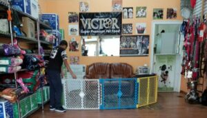 Pamperedpuppiesgooming