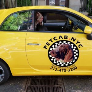 Petcab