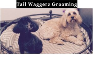 Tailwaggerz