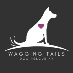 Waggingtailsny