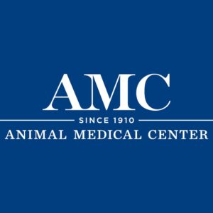 Amc