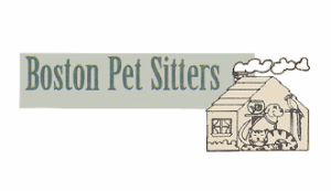 Boston pet sitter