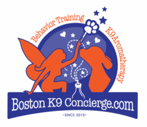 Bostonk9conceiage