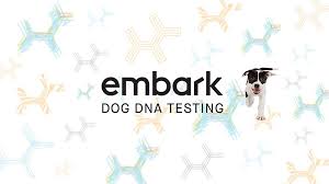 Embark