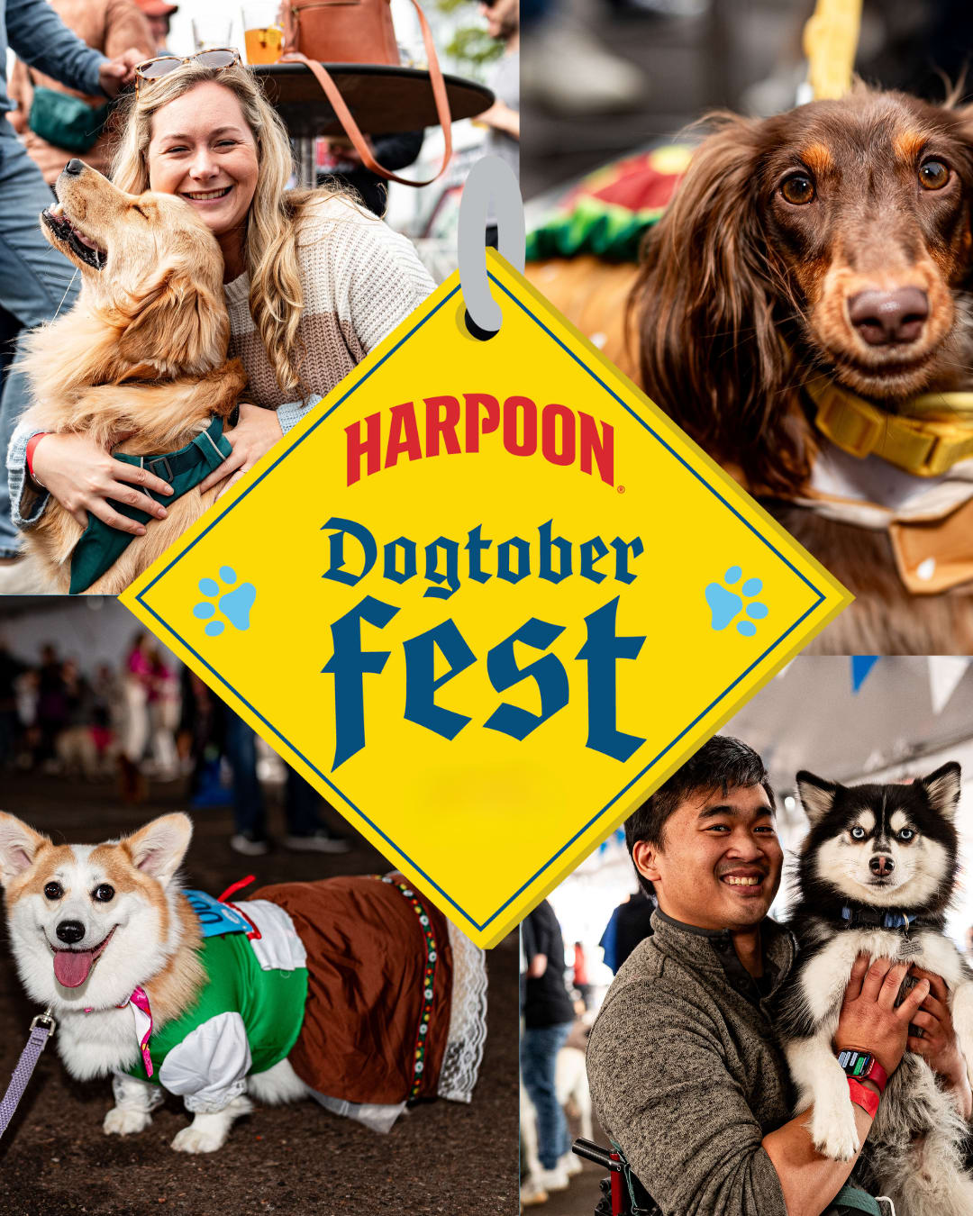 Dogtoberfest at Harpoon Brewery Boston