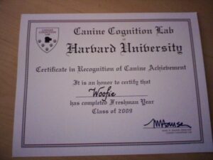 Harvard