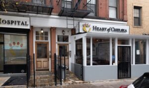 Heart of chelsea veterinary group chelsea