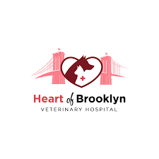 Heartofbrooklynverinaryhospital