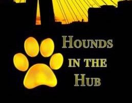 Houndsinthehub 1