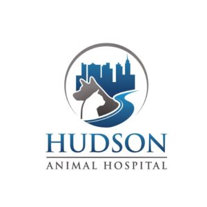 Hudsonnews