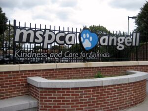 Mspca