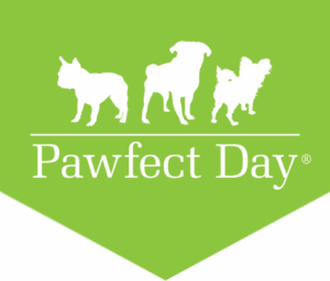 Pawfectday