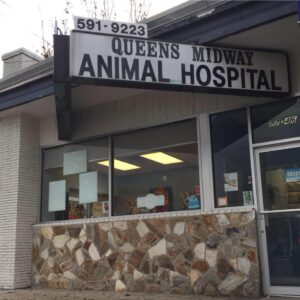 Queensmidwayhospital