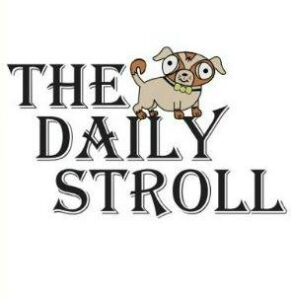 Thedailystroll
