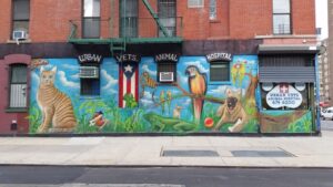 Urban vets animal hospital