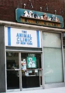 Animalclinicofnyc