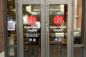 Bostonhospotalnorthstation