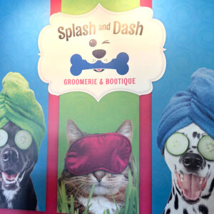Splash and dash groomerie boutique logo