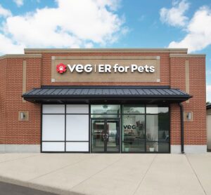 Veg cambridge exterior 1200x1200