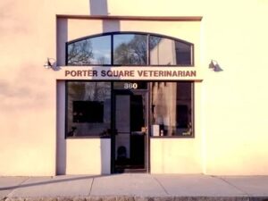 Portersqvetma