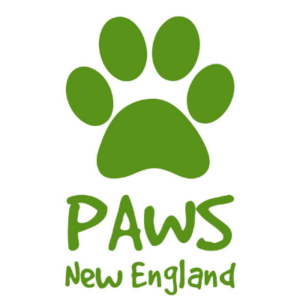 Paws new england rescue