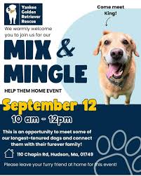 Mix and Mingle
