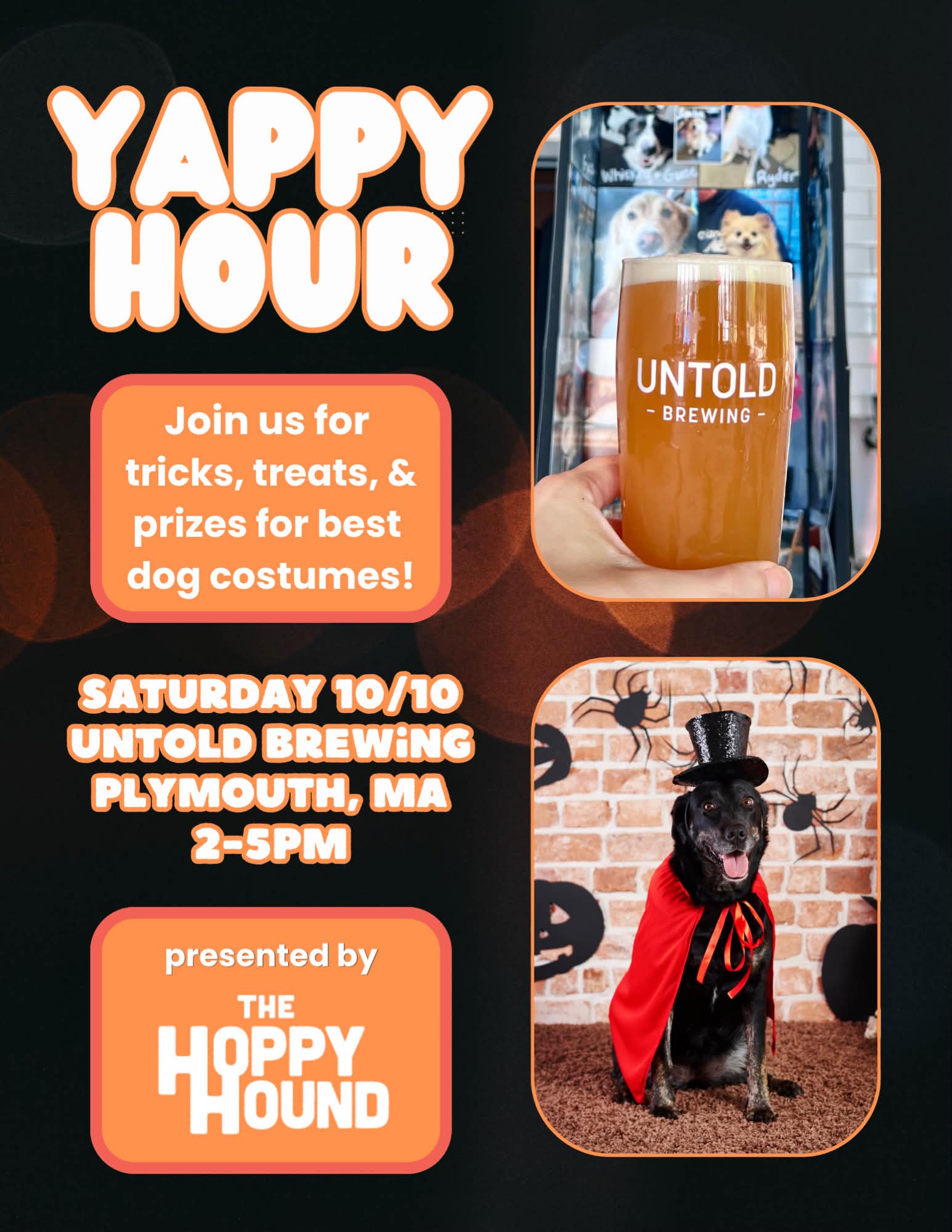 Yappy Hour with The Hoppy Hound